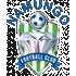 Logo Namungo FC