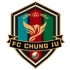 Logo Yeoncheon FC