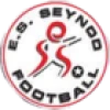 Logo ES Seynod