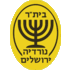 Logo Beitar Nordia Jerusalem