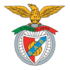 Logo S. Arronches e Benfica