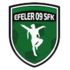 Logo Efeler 09