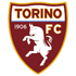 Logo Torino U19