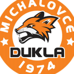 Logo Michalovce