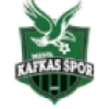 Logo Inegol Kafkas