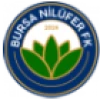 Logo Bursa Nilufer