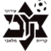 Logo Hapoel Segev Shalom