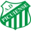 Logo Picuiense