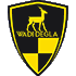 Logo Wadi Degla FC