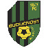 Logo Buducnost