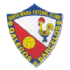 Logo Santa Maria FC