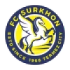 Logo Surkhon-2011