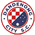 Logo Dandenong City