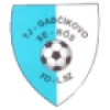 Logo TJ Gabcikovo