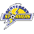 Logo Centenary Stormers