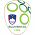 Logo Slovenië U21