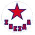 Logo Zvezda Chekhov