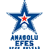 Logo Anadolu Efes