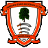 Logo Ashford Town