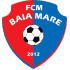 Logo Minaur Baia Mare