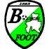 Logo Bourges Foot