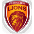 Logo Bulleen Lions