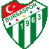 Logo Bursaspor