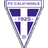 Logo Calvi Noale