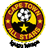 Logo Cape Town All Stars