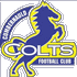 Logo Cumbernauld Colts