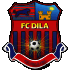 Logo Dila Gori