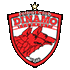 Logo Dinamo Bucuresti U19