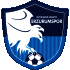 Logo Erzurumspor FK