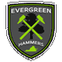 Logo Evergreen FC