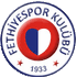 Logo Fethiyespor