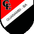 Logo Flamengo de Guanambi