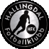 Logo Hallingdal FK