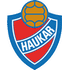 Logo Haukar