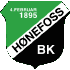 Logo Hoenefoss 2