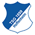 Logo Hoffenheim U19