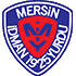 Logo Yeni Mersin Idmanyurdu