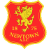 Logo Newtown