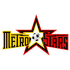 Logo North Eastern Metro Stars