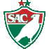 Logo Salgueiro