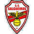 Logo Salgueiros