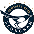 Logo Seongnam FC