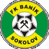 Logo Sokolov