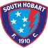 Logo South Hobart