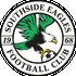 Logo Southside Eagles