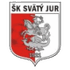 Logo Svaty Jur